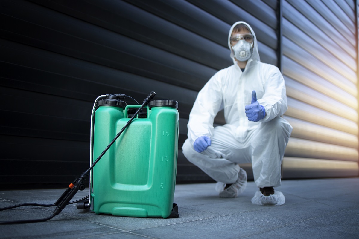 An Honest Review of Hawx Pest Control Services